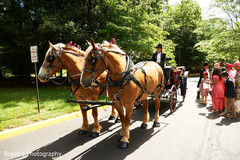 Carriage details of the Indian wedding Carriage details of the Indian wedding