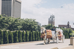 Dreamy Indian wedding horse pulled carriage. Dreamy Indian wedding horse pulled carriage.