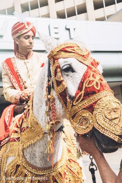 Charming Indian groom at his baraat celebration. Charming Indian groom at his baraat celebration.