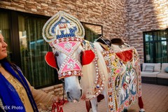 Elegant Indian groom's white horse. Elegant Indian groom's white horse.