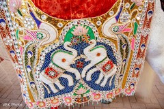 Baraat white horse detailed dress. Baraat white horse detailed dress.