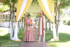 Adorable Indian lovebirds outdoors capture. Adorable Indian lovebirds outdoors capture.