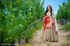 Indian bride posing in a grapevine Indian bride posing in a grapevine