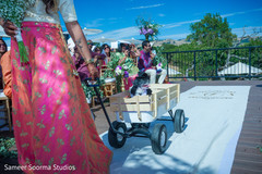 Indian wedding 4 legged friend Indian wedding 4 legged friend