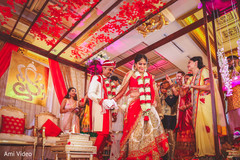 photo #216667 photo #216667