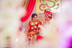Indian lovebirds kansar bhakshan ritual. Indian lovebirds kansar bhakshan ritual.