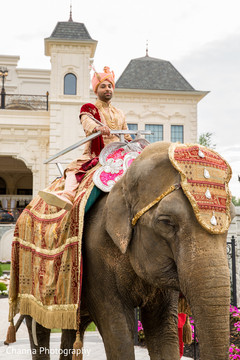 See this ravishing groom riding an elephant See this ravishing groom riding an elephant