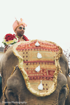 Amazing capture of elephant and Raja Amazing capture of elephant and Raja