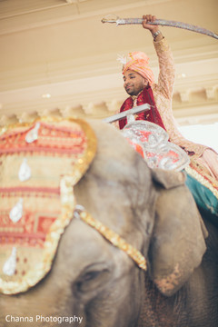 Indian groom riding the elephant Indian groom riding the elephant