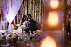 Indian lovebirds magical capture. Indian lovebirds magical capture.