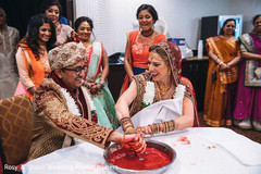 Indian lovebirds playing Indian lovebirds playing