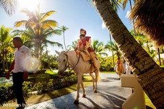 Indian groom arriving on his white baraat horse. Indian groom arriving on his white baraat horse.