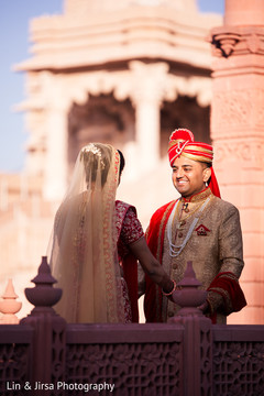 Indian lovebirds first look. Indian lovebirds first look.