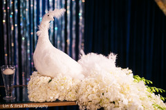Marvelous Indian wedding peacock flowers decoration. Marvelous Indian wedding peacock flowers decoration.