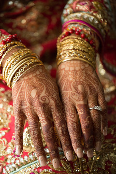 Talented mehndi design on Maharani's hands Talented mehndi design on Maharani's hands