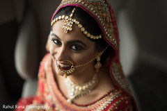 Maharani looking at the camera during pictures Maharani looking at the camera during pictures