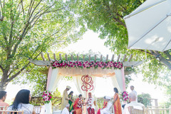 Amazing moments of the Indian wedding celebration Amazing moments of the Indian wedding celebration