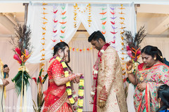 Lovely indian couple exchanging garlands Lovely indian couple exchanging garlands