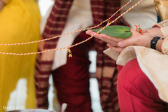 Indian groom holding a ceremony ritual leaf. Indian groom holding a ceremony ritual leaf.