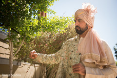 Indian groom looking sharp Indian groom looking sharp