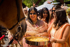 Special guest outdoors with horse Special guest outdoors with horse