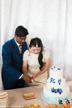 Indian couple cutting the cake Indian couple cutting the cake