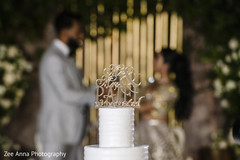 Marvelous Indian wedding cake topper. Marvelous Indian wedding cake topper.