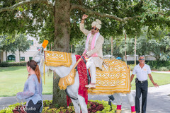 Elegant Indian groom riding baraat white horse. Elegant Indian groom riding baraat white horse.