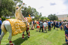 Indian groom riding on his baraat horse. Indian groom riding on his baraat horse.