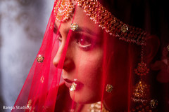 Amazing portrait of Maharani Amazing portrait of Maharani