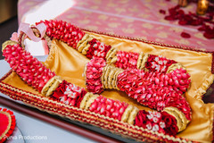 Indian groom's garland capture. Indian groom's garland capture.