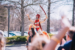 Charming Indian groom on his baraat horse. Charming Indian groom on his baraat horse.