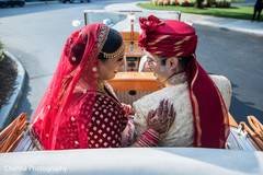 Adorable indian lovebirds Adorable indian lovebirds