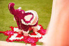 See this elephant shaped floral arrangement See this elephant shaped floral arrangement
