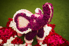 Gorgeous elephant shaped floral design Gorgeous elephant shaped floral design