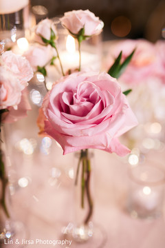 Beautiful rose decorating the table Beautiful rose decorating the table