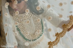 Maharani's veil details Maharani's veil details
