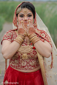Remarkable maharani's ceremony jewelry capture. Remarkable maharani's ceremony jewelry capture.
