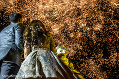 Marvelous Indian wedding reception fireworks. Marvelous Indian wedding reception fireworks.