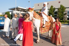 Enchanting Indian groom on his white baraat horse. Enchanting Indian groom on his white baraat horse.