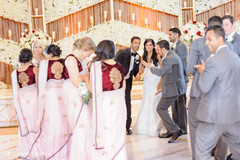 Indian bridesmaids and groomsmen with indian couple capture. Indian bridesmaids and groomsmen with indian couple capture.
