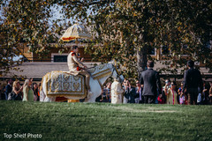 Sensational indian groom's baraat celebration. Sensational indian groom's baraat celebration.