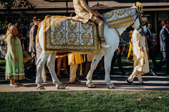 Incredible Indian grooms baraat horse decor. Incredible Indian grooms baraat horse decor.