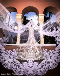 Stunning maharani with her white veil capture. Stunning maharani with her white veil capture.