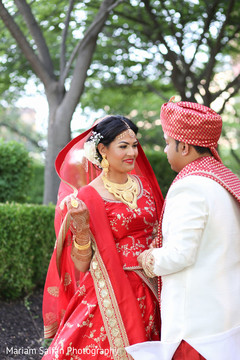 Indian lovebirds magical capture. Indian lovebirds magical capture.