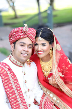 Adorable Indian lovebirds first look. Adorable Indian lovebirds first look.