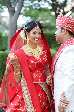 Indian lovebirds first look. Indian lovebirds first look.