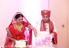 Lovely Indian couple cutting cake capture Lovely Indian couple cutting cake capture