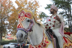 Enchanting Indian groom riding his baraat horse. Enchanting Indian groom riding his baraat horse.