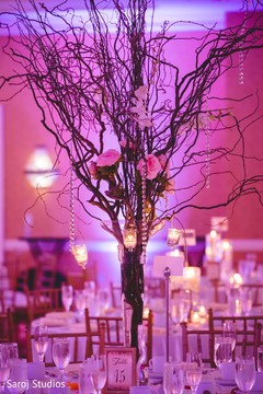 photo #229963 photo #229963